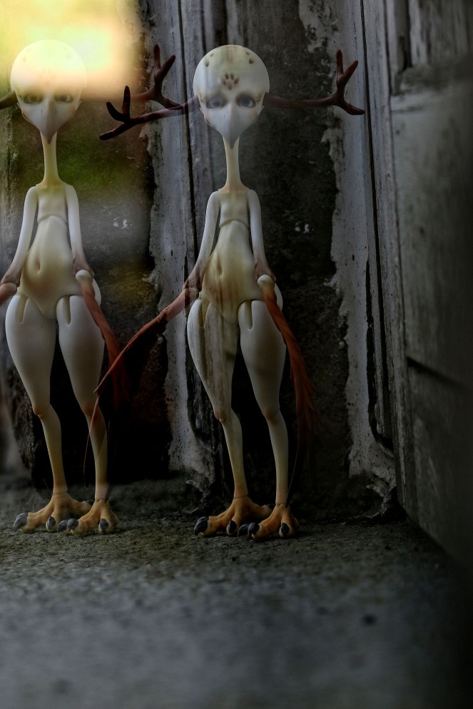 28178273655_c1cbe2ac93_k