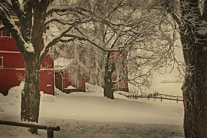 lokalhistorieherboddekuasomkommedmelka1BLOGG