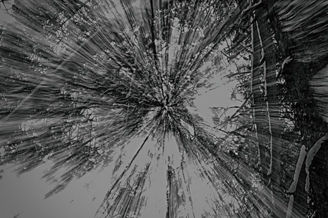 suget3svarthvittBLOGG