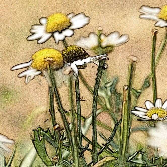 kjærlighetSANKTHANSBLOGG