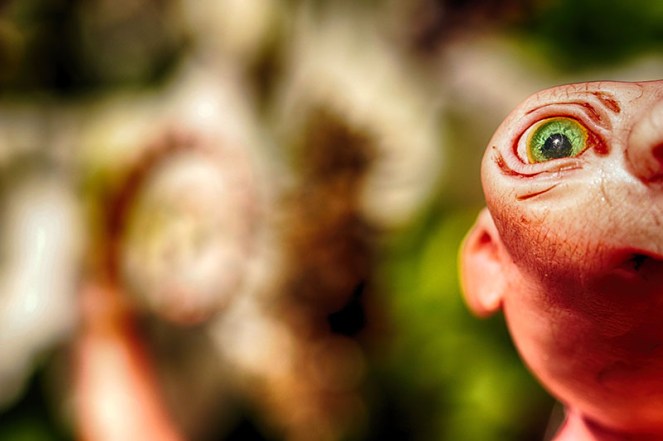 unormal1BLOGGfolkerrare