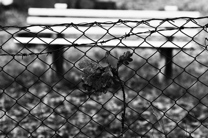 høststemning6FRAGÅTTBLOGG