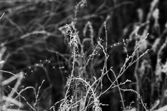 folsommedesemberBLOGG