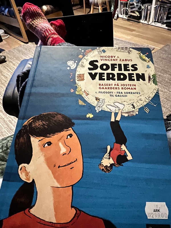 Sofistikert